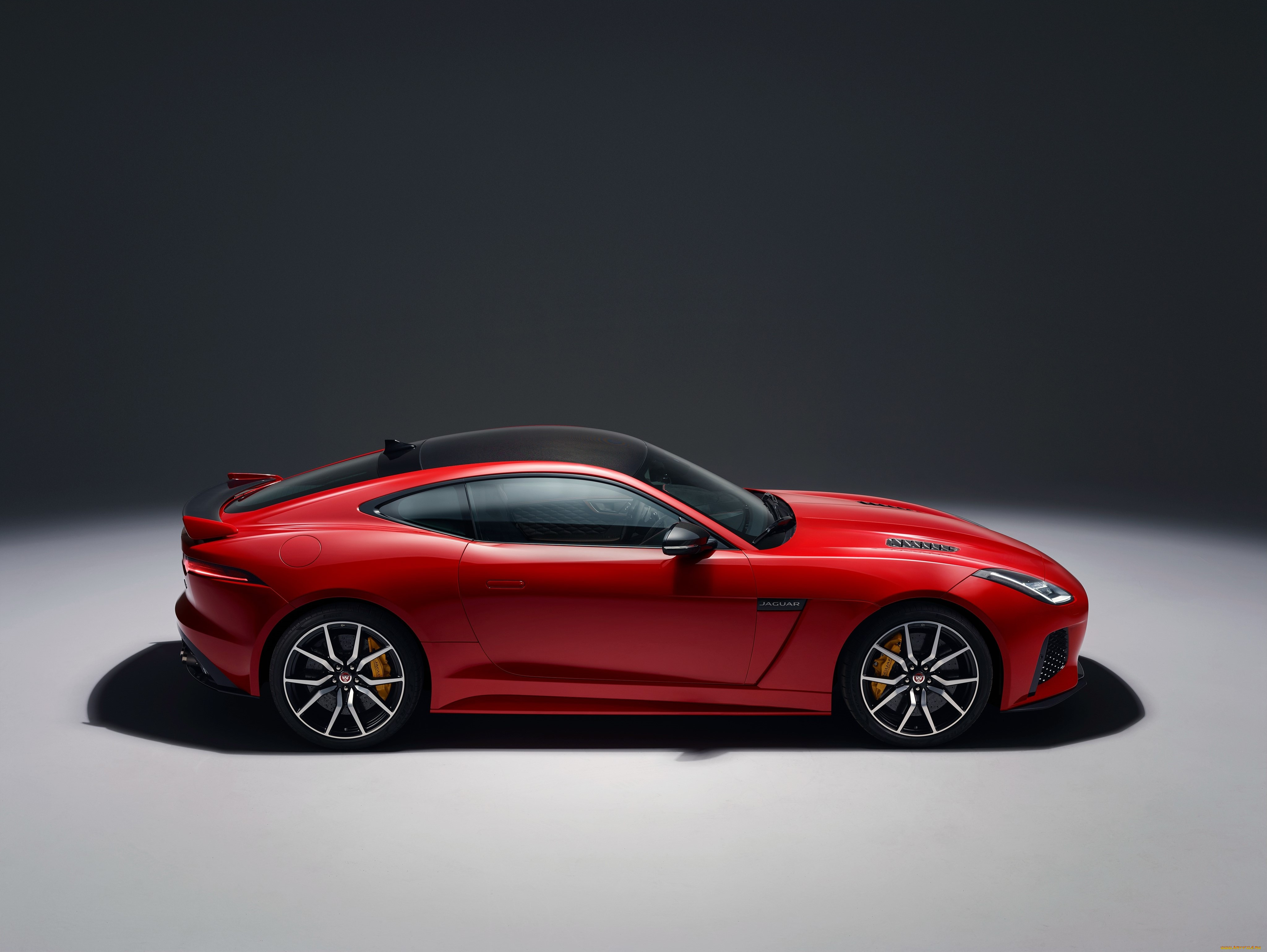 , jaguar